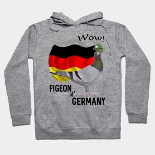 Pigeon of Germany Hoodie